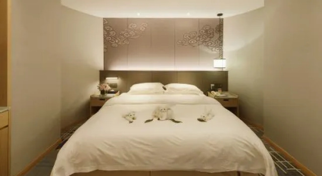 Suite Business Pingyang International Hotel