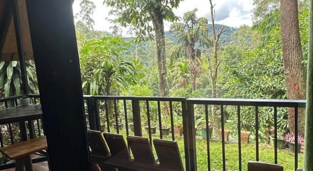 Real View, Забронировать Отель Отели Элла 4 звезды, рядом с Ella Spice Garden, 4*