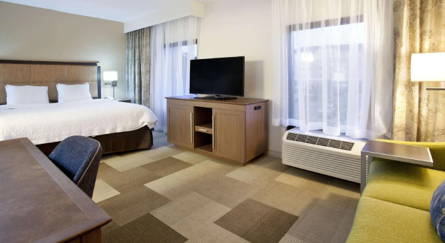 Двухместный люкс Hampton Inn & Suites Nashville-Smyrna