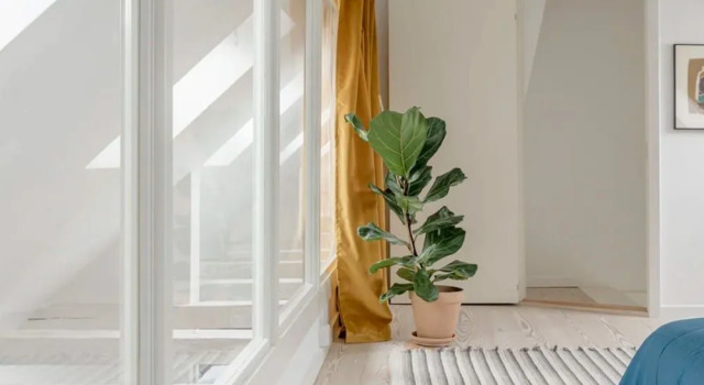 Heart of Copenhagen - Luxury