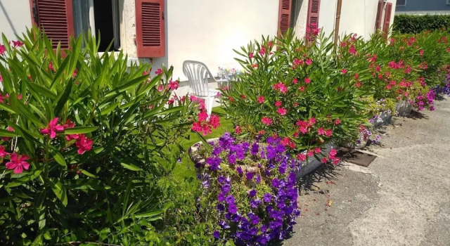 Albergo Grifone 1891