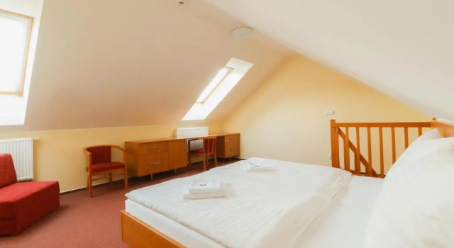 Номер Standard Hotel České Žleby