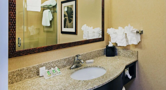 Четырёхместный номер Standard Hilton Garden Inn Midland