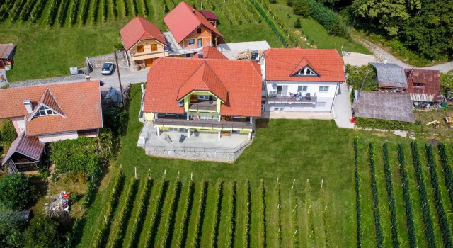 Yellow House Grabrovec, Prenota Hotel Metlika Dolenjska