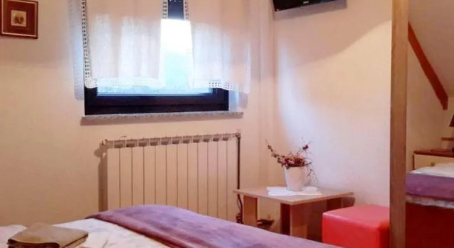 Двухместный номер Classic House Sankovic