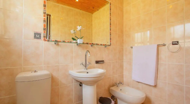 Двухместный номер Deluxe Airport Bird & Game Lodge