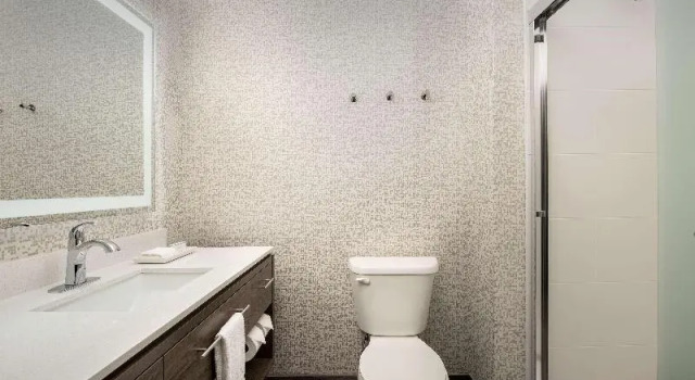 Номер Standard Home2 Suites By Hilton Kenner New Orleans Arpt