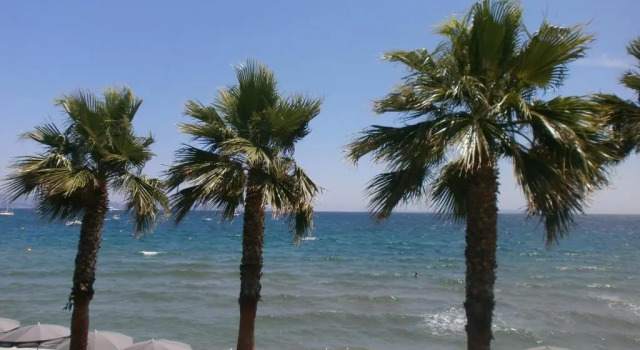 Номер Executive Bor Hôtel & Restaurant - Plage privée