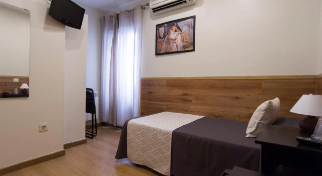 Номер Standard Hostal Art Madrid