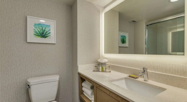 Люкс с 2 комнатами DoubleTree by Hilton Chandler Phoenix, AZ