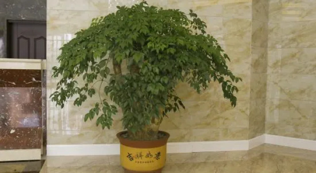 Xi Shui Yu Jing Hotel, Varaa Hotelli Zunyi Guizhou