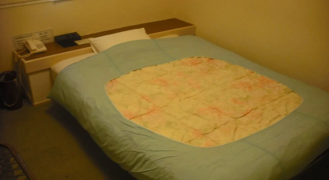 Hotel Rakusai, Book Hotel Ōta Kyoto