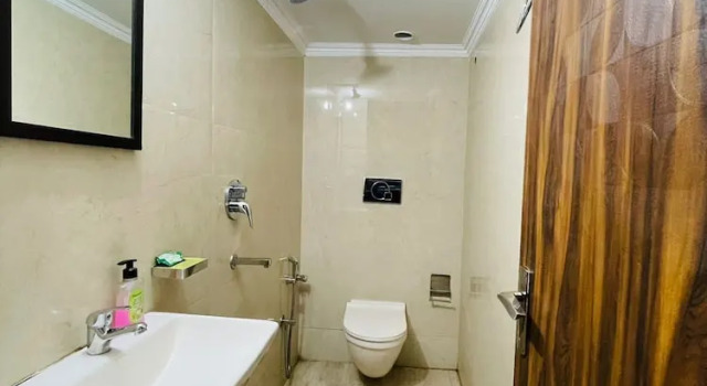 Номер Deluxe Roomshala 089 Green Palace