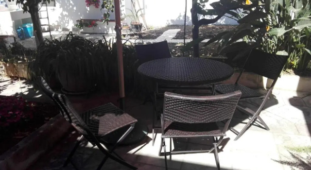 Номер Standard Citrus Garden