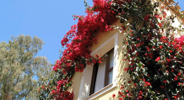 Borgo degli Ulivi Residence