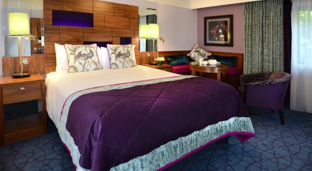 Двухместный номер Standard Clontarf Castle Hotel