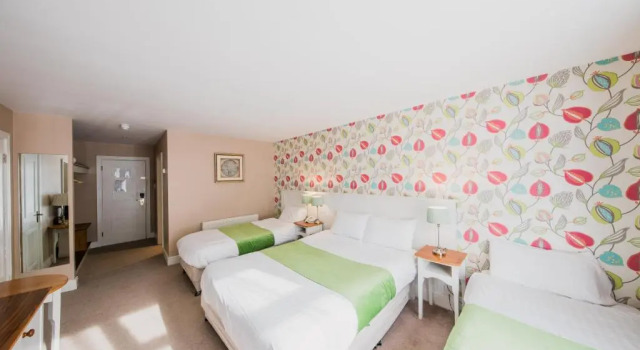 Семейный номер Standard The Abbeyleix Manor Hotel