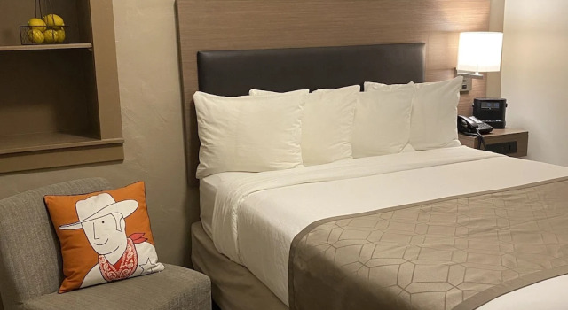 Номер Standard Hotel Arvon