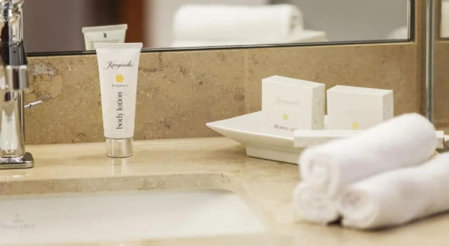 Трёхместный номер Standard Hilton Frankfurt Gravenbruch