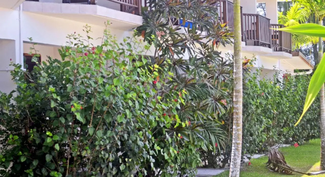 Студия Tropicana Lagoon Apartments