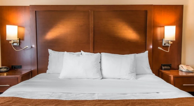 Люкс c 1 комнатой Comfort Suites Wixom - Novi