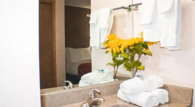 Двухместный люкс Victorian Inn & Suites-York