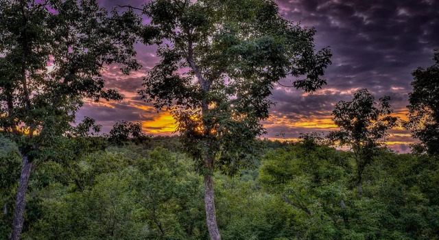 Secluded Serenity by Escape to Blue Ridge, Reserva ahora Hotel Hemp Estados Unidos