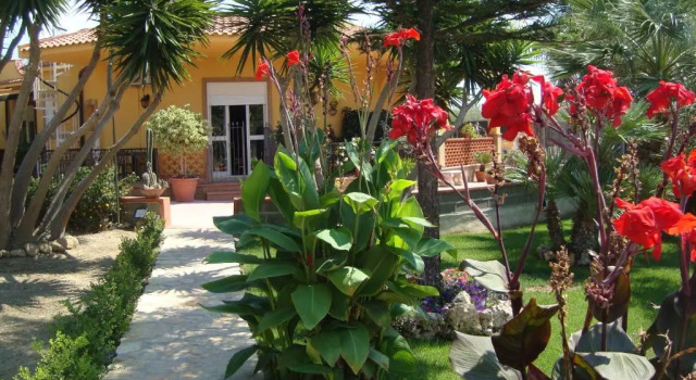 Полулюкс Villa Concordia