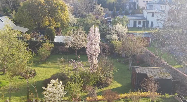Апартаменты Villa Tini
