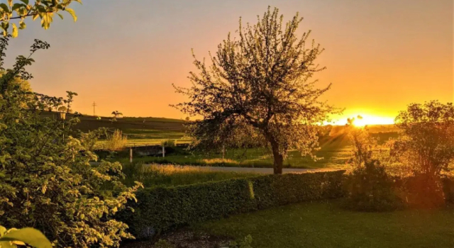 Pension Margaretenhof, Prenota Hotel Bayerbach Bassa Baviera