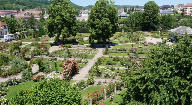 Standard room Le Jardin des Roses