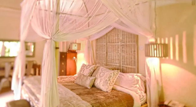 Standard Suite Amanzi Lodge