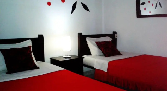 Standard Zimmer HCR Cali