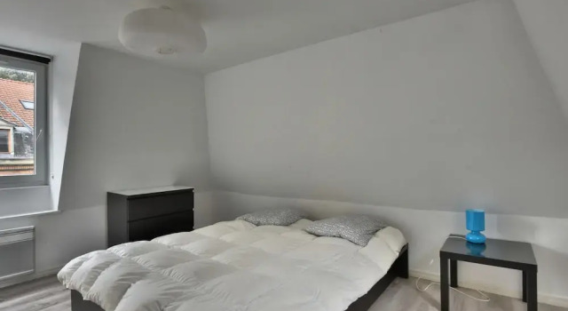Appartement proche metro 24H/24H Access, Đặt Căn hộ Fives Lille