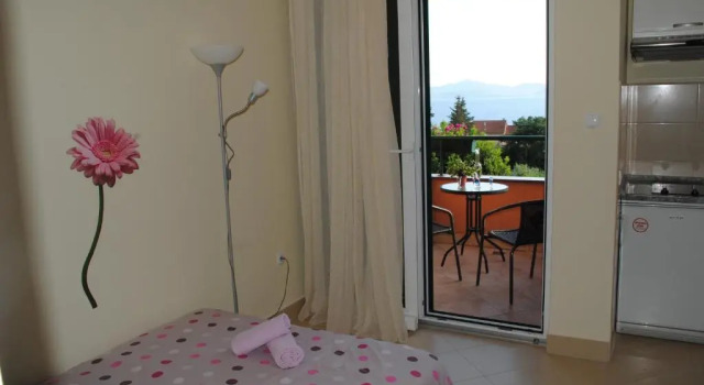Студия с балконом и с красивым видом из окна Apartments Ivan