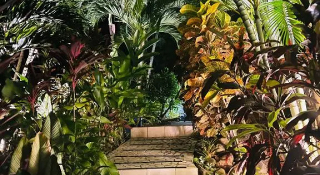 Vue Mer/3Beds/Piscine/wifi/900 mètres de la plage, Book Hotel Hotels in Basse-Terre with a Pool, Swimming Pool