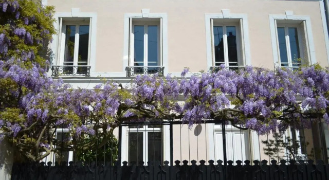 Wisteria, Забронировать Отель Фонтенбло Seine-et-Marne, рядом с Chateau de Fontainebleau (замок)