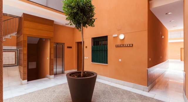Green - Apartments Plaza Nueva II