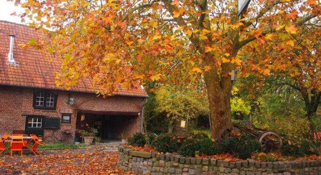 Коттедж Grote Goesting holiday house
