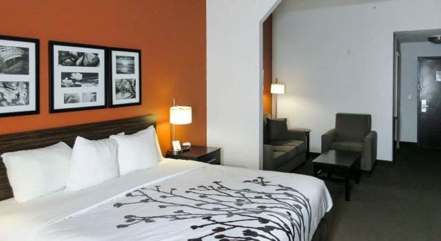 Двухместный люкс Sleep Inn & Suites Ft Lauderdale International Airport