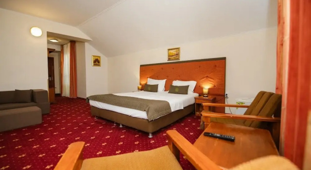 Двухместный номер Executive с балконом и с видом на сад Hotel Fantanita Haiducului