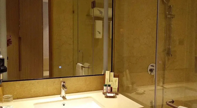 Номер Standard Siddharth The Fern An Ecotel Hotel,Jalna