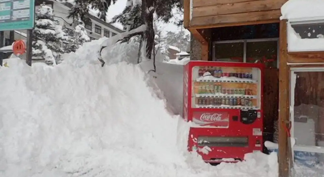 Hakuba Cortina Backpackers - Hostel