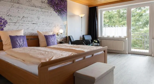 Двухместный номер Standard с балконом Landhaus Nordenau