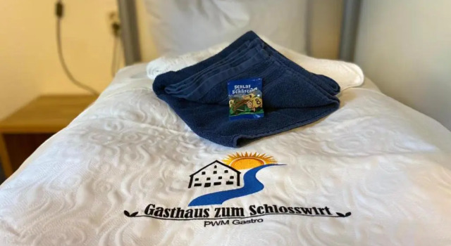 Номер Standard Gasthaus zum Schloßwirt