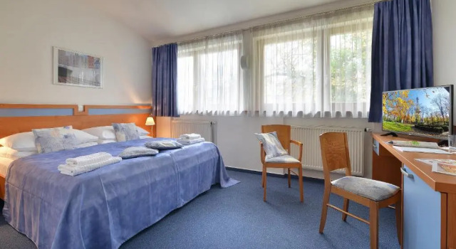 Komfortní Dvoulůžkový s manželskou postelí pokoj EA Hotel Populus