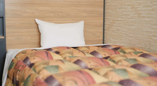 Одноместный номер Standard Gamagori Hotel
