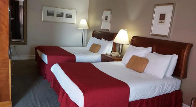 Четырёхместный номер Standard Seelys Motel
