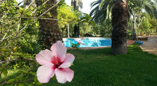 Люкс Quinta Do Paraiso - AL