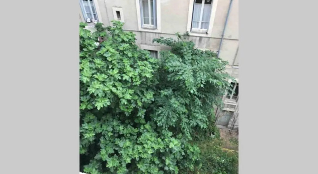 Avignon centre ville appartement T3 meublé 2 chambres, Забронировать Апартаменты/квартира Апартаменты Авиньона, рядом с Avignon Festival, Апартаменты/квартира